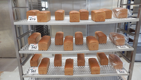 verschiedene Brote aus biodynamischen Sorten in einem Regal