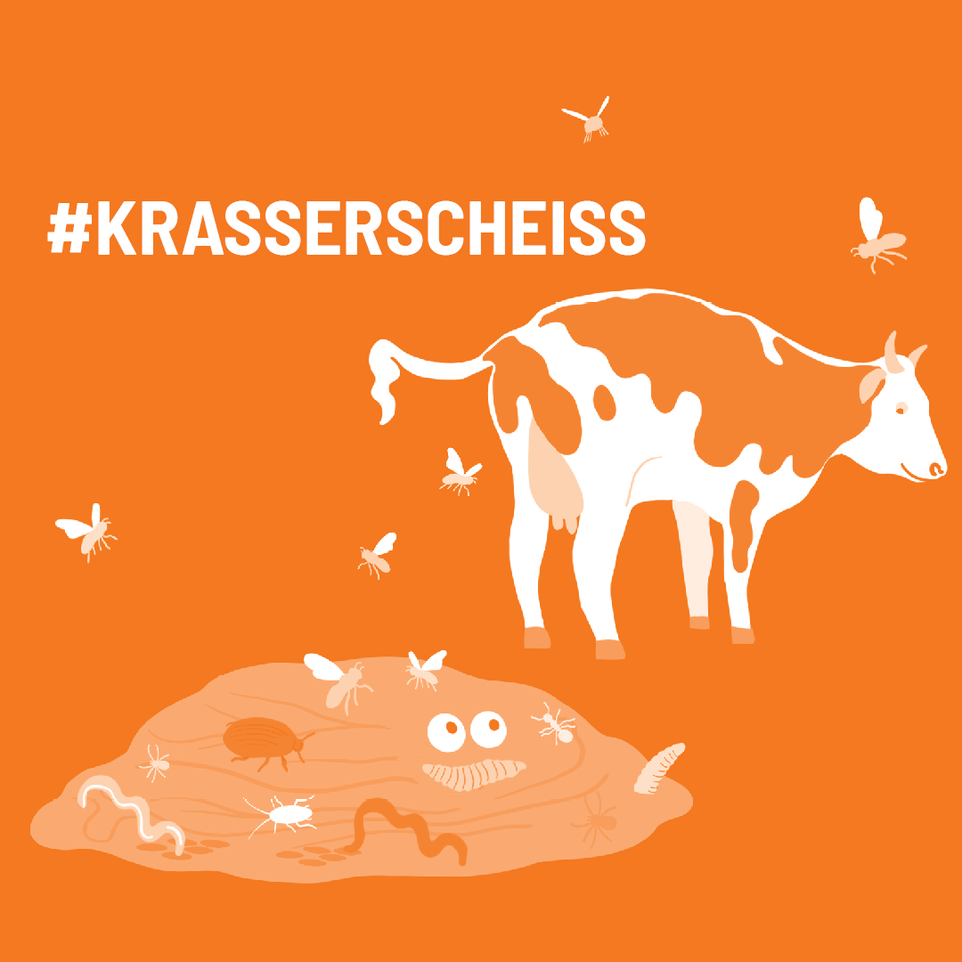 Illustration einer Kuh mit dem Text #KrasserScheiss