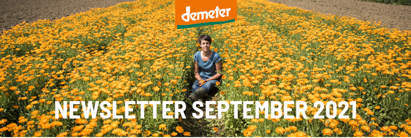 Demeter Aktuell Header September