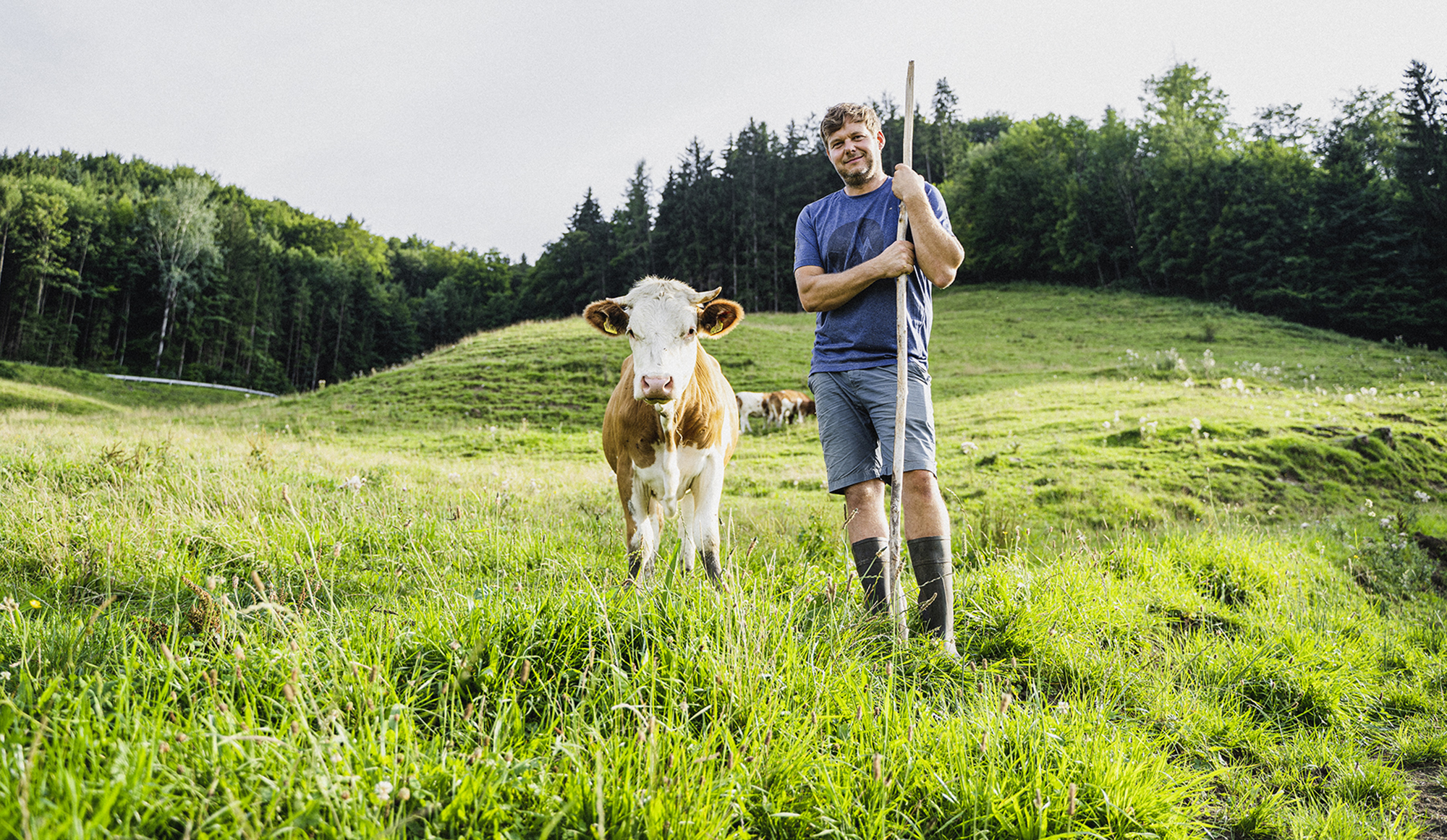 Andreas Wimmer mit Kuh auf der Wiese