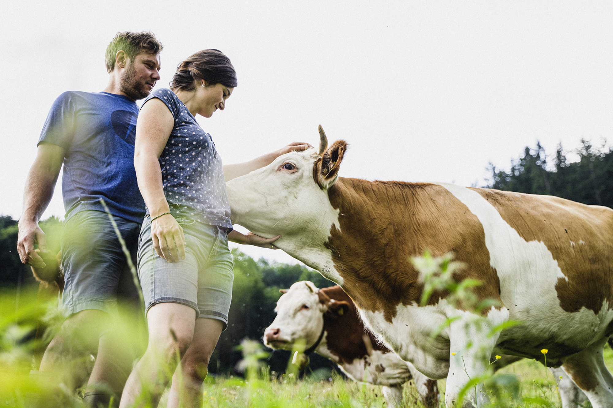 Andreas und Katharina Wimmer mit Kuh auf der Wiese