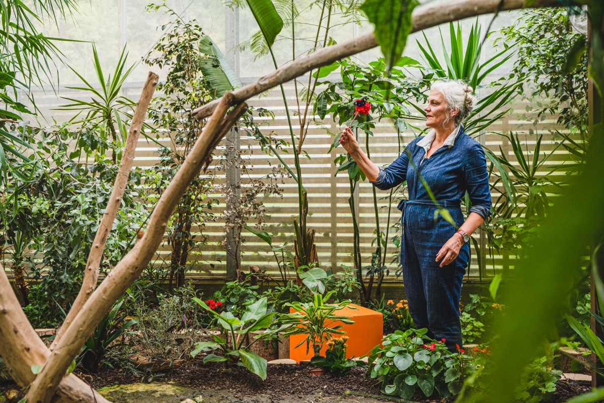 Barbara Geiger steht im Gewächshaus und hält eine Blume mit einem Schmetterling in ihrer Hand