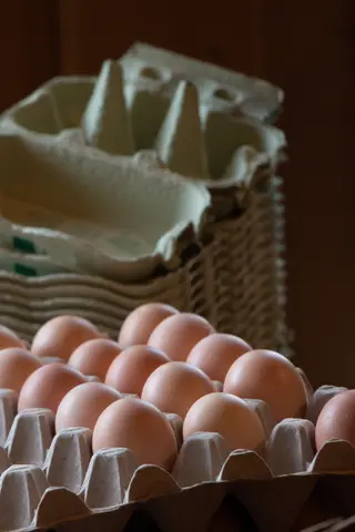 braune Eier in einem Eierkarton