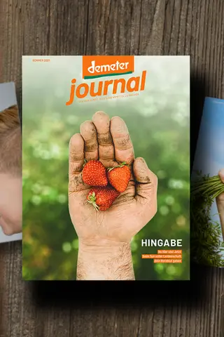 Demeter Journal 50