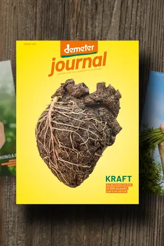 Demeter Journal 51