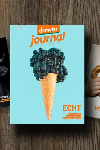 Demeter Journal 54