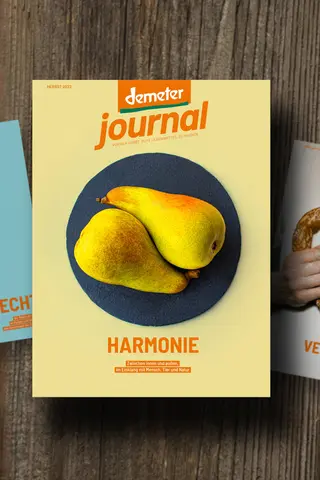 Demeter Journal 55