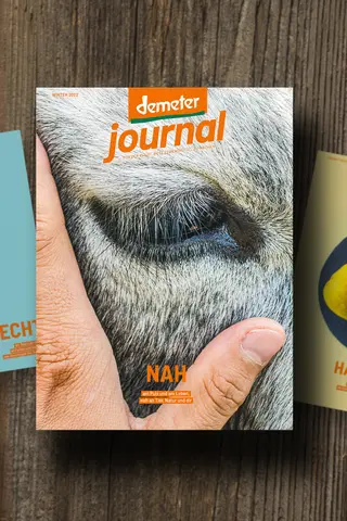 Demeter Journal 56