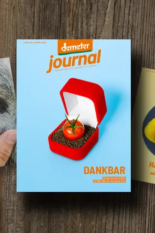 Demeter Journal 57