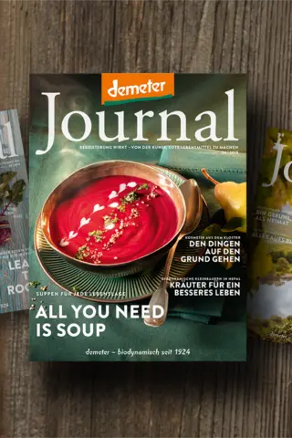 Das Cover zeigt eine Rote Suppe mit Herzchen-Verziehrung