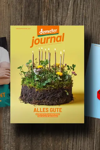 3 Demeter-Journale auf einem Holztisch