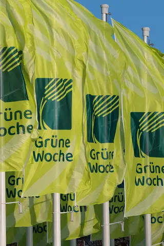 Fahnen Grüne Woche