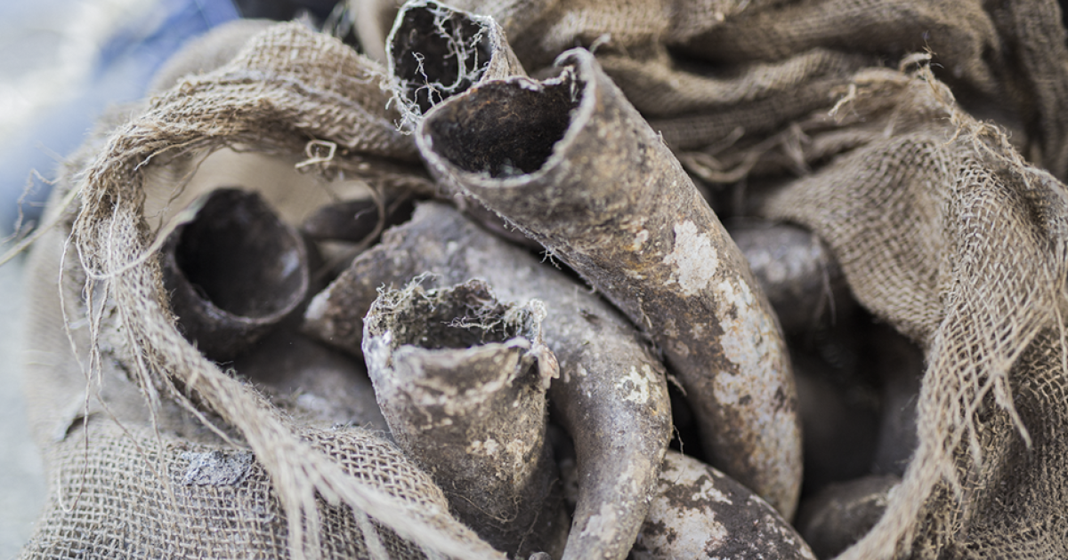 Charakteristisch für DemeterAgrarkultur die Biodynamischen Präparate