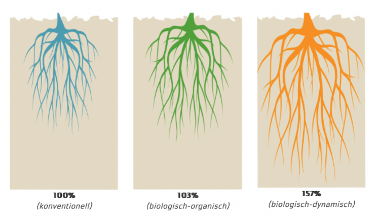 Intensität Durchwurzelung1
