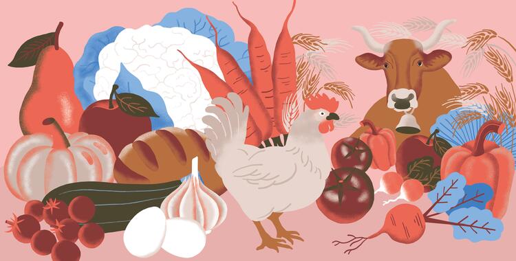 Illustration Nahrung Landwirtschaft