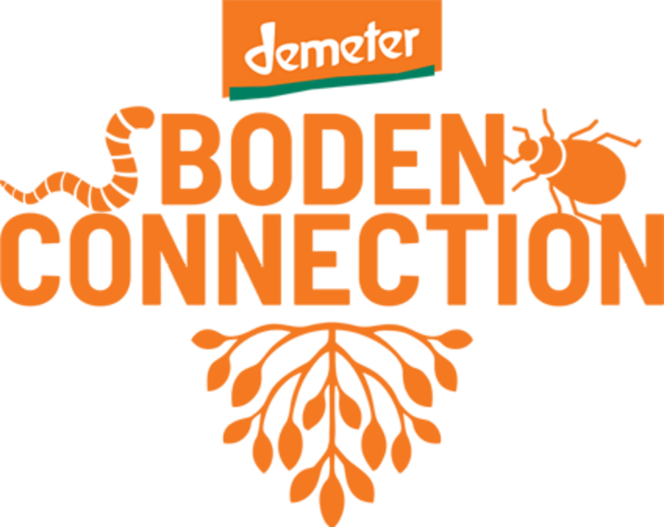 Logo Bodenconnection