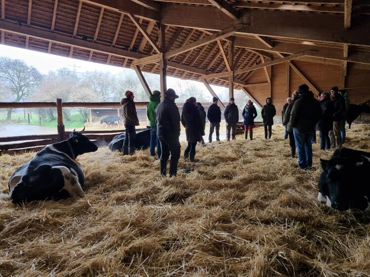 Gruppe Einführungskurs im Kuhstall