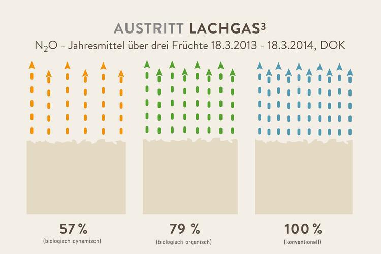 Austritt Lachgas Infografik