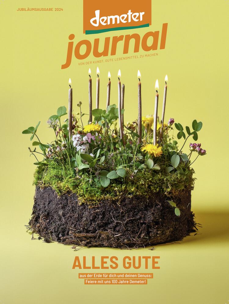 Cover: Geburtstagstorte mit Kerzen aus Erde und Pflanzen