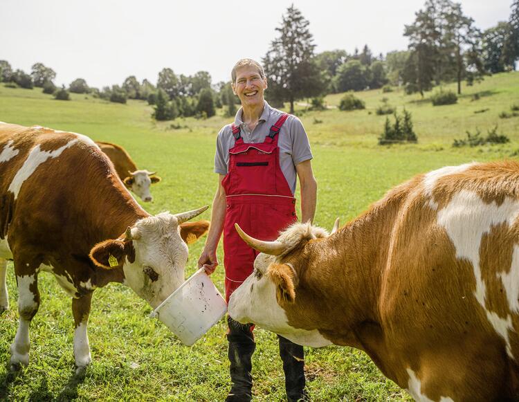 Rüdiger Spiegel füttert die Kühe auf der Weide