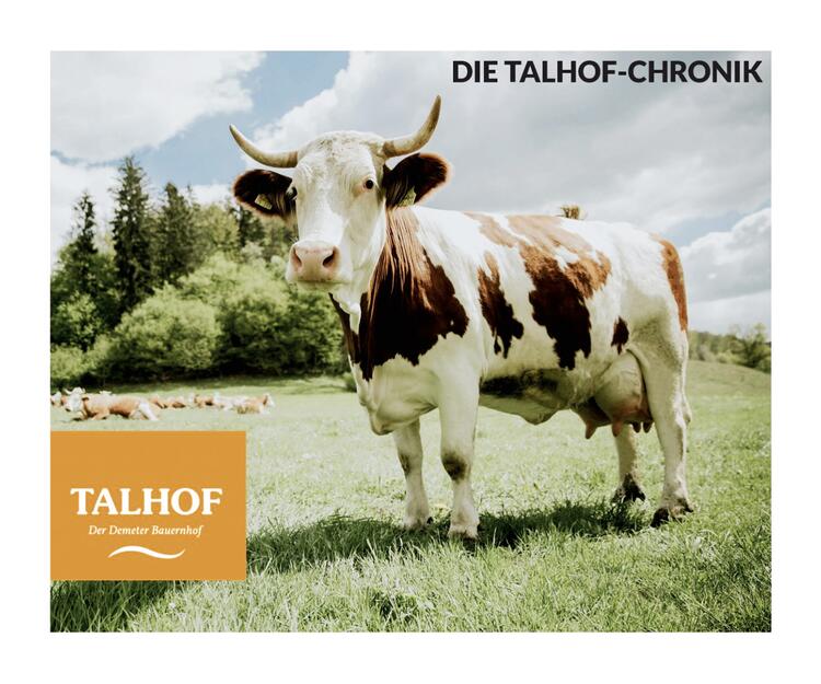 Cover : „Die Talhof-Chronik“ von Anna Pezold, Tobias Birken und Matthias Georgi 