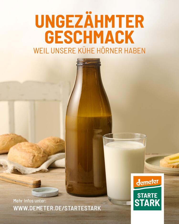 Produktgruppe Milch Kampagne „Starte stark“