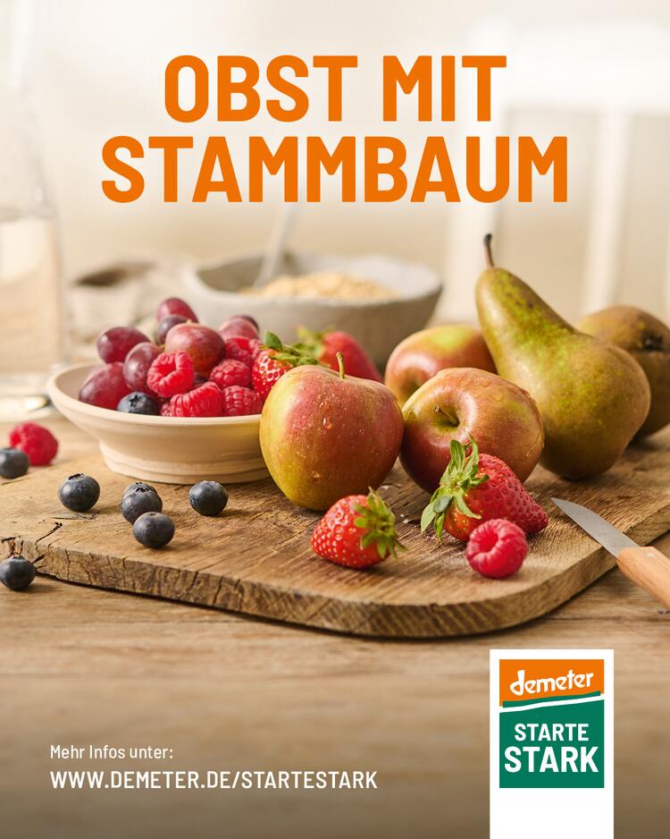 Produktgruppe Obst Kampagne „Starte stark“