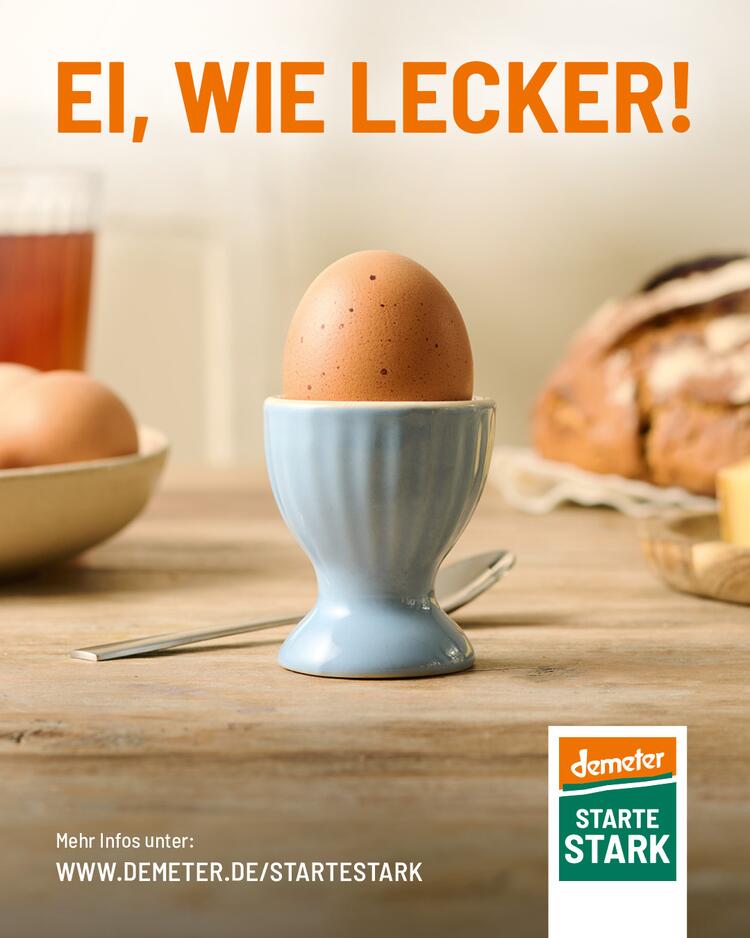 Produktgruppe Ei Kampagne „Starte stark“