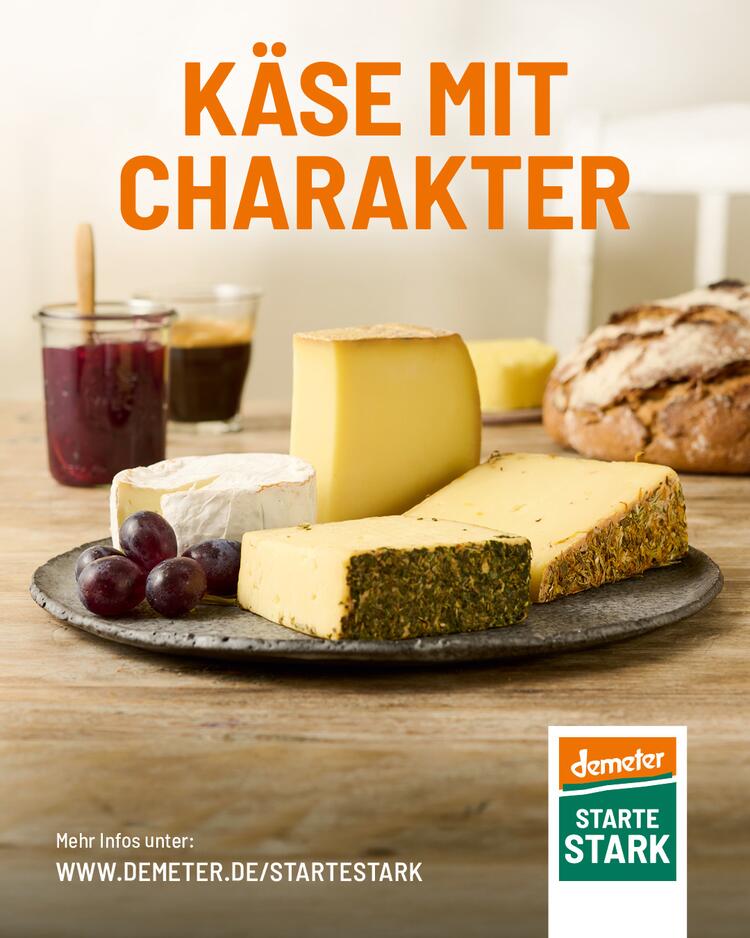 Produktgruppe Käse Kampagne „Starte stark“