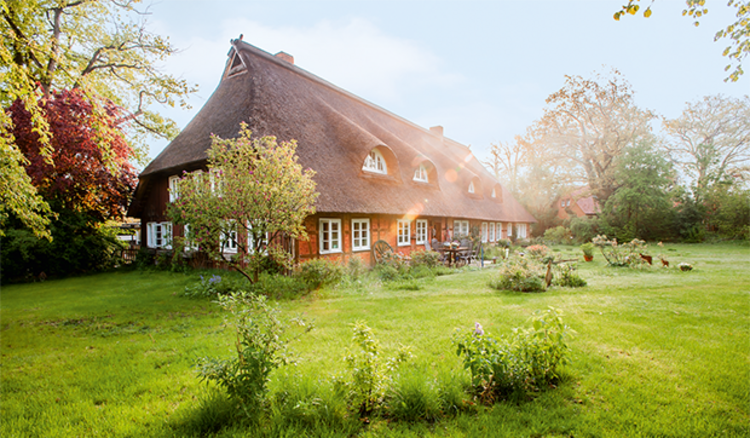Bauernhaus mit Reetdach im Grünen