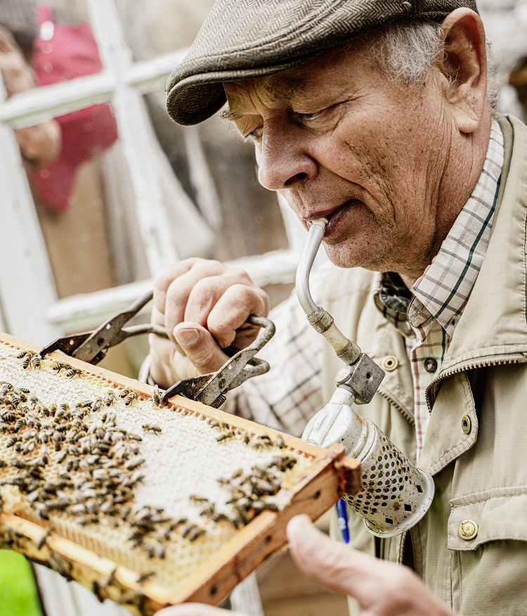 Gyso von Bonin mit Bienen