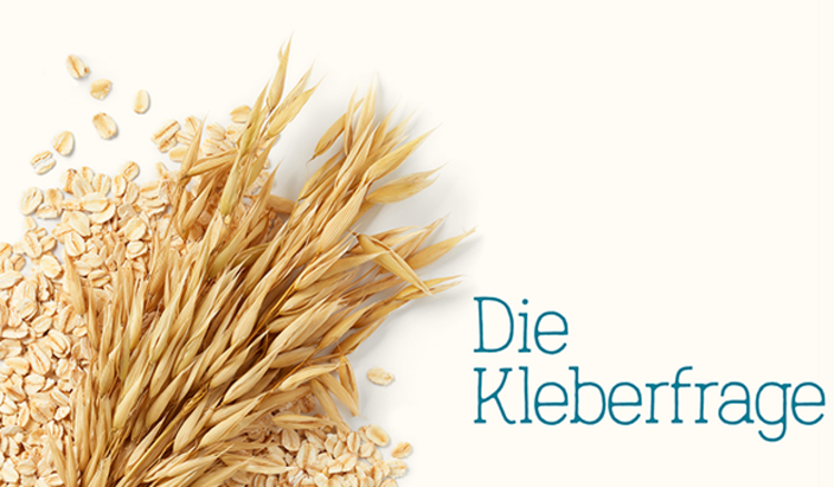 Die Kleberfrage