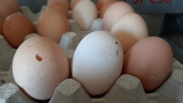 Eier mit leichten Beschädigungen an der Schale