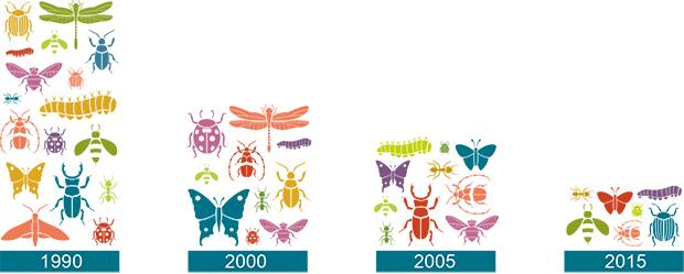 Grafik Insektensterben