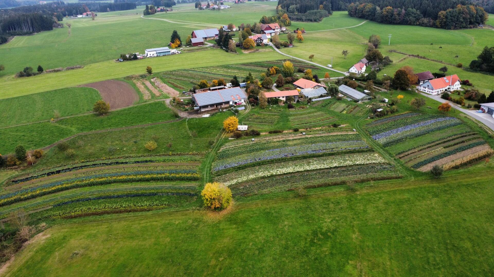 Luftbild Gärtnerhof Oberreute