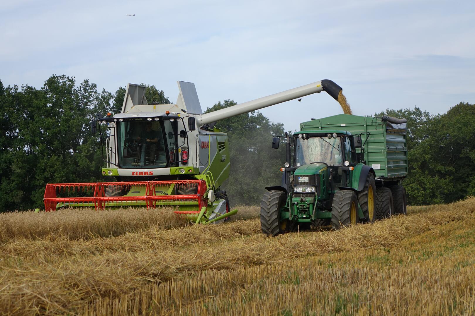 Haferernte mit Mähdrescher und Traktor