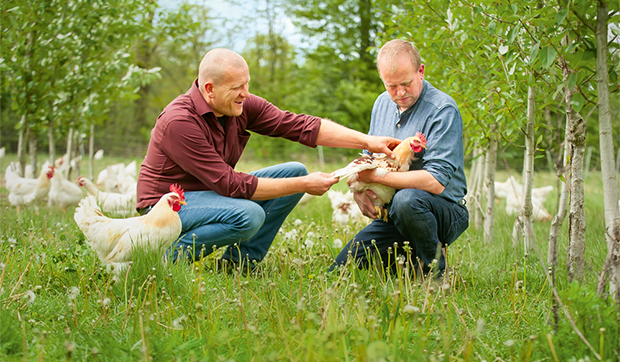 Carsten Bauck und Yanic Arndt mit Bruderhähnen auf dem Bauckhof Klein Süstedt.