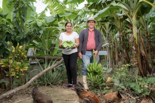 Mann und Frau in einer Bananenplantage