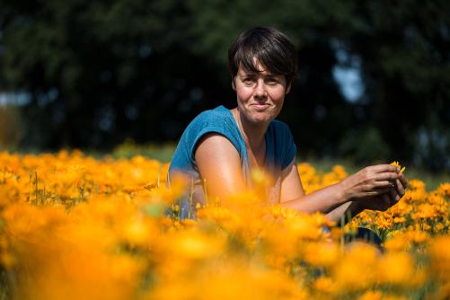 Frau kniet in einem Calendula-Feld