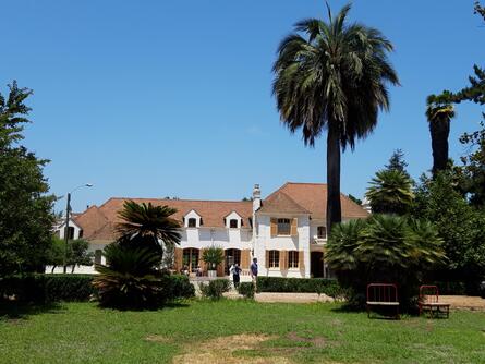 Haus mit Palme 