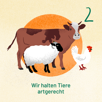 Wir halten Tiere artgerecht. Abgebildet sind eine Kuh, ein Schaf und ein Huhn