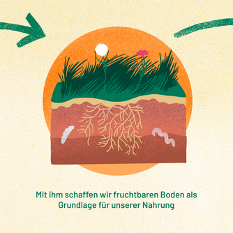 Mit ihm schaffen wir fruchtbaren Boden als Grundlage für unsere Nahrung. Abgebildet ist ein mit Gras bewachsener und durchwurzelter Boden