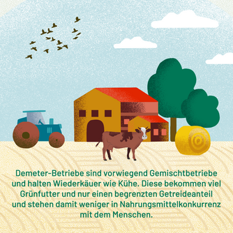 Demeter-Betriebe sind vorwiegend Gemischtbetriebe und halten Wiederkäuer wie Kühe. Diese bekommen viel Grünfutter und nur einen begrenzten Getreideanteil und stehen damit weniger in Nahrungsmittelkonkurrenz mit dem Menschen. Abgebildet ist eine Kuh vor einem Bauernhof