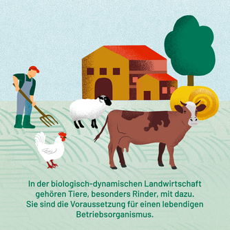 In der biologisch-dynamischen Landwirtschaft gehören Tiere, besonders Rinder, mit dazu. Sie sind die Voraussetzung für einen lebendigen Betriebsorganismus. Abgebildet sind Tiere auf der Weide und ein Landwirt vor einem Hof