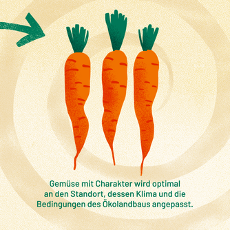 Gemüse mit Charakter wird optimal an den Standort, dessen Klima und die Bedingungen des Ökolandbaus angepasst. Abgebildet sind drei Möhren