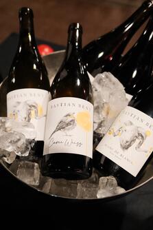 Weinflaschen auf Eis, Cuvée Weiß, Bastian Beny