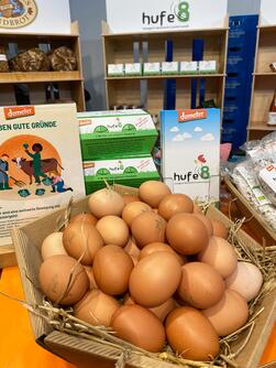Messestand IGW, Eier von Hufe8