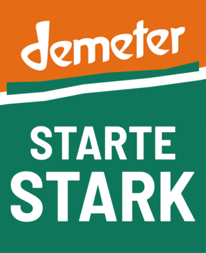Logo Starte stark