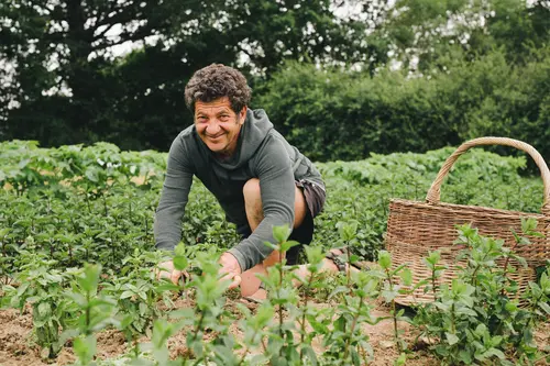 Mann in einem Garten mit Minze