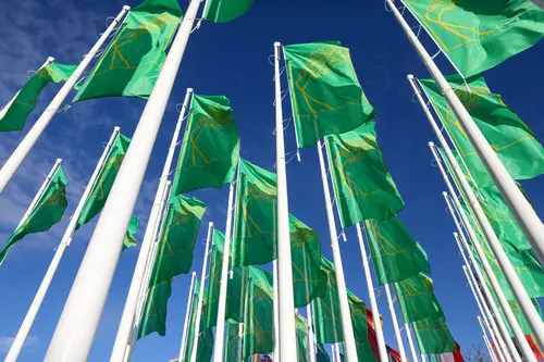 Grüne Woche Flaggen